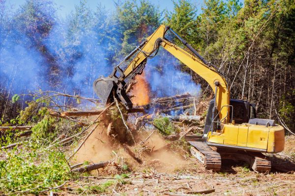 Nampa Land Clearing