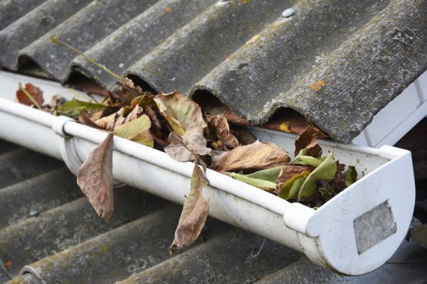 Nampa Gutter Cleaning